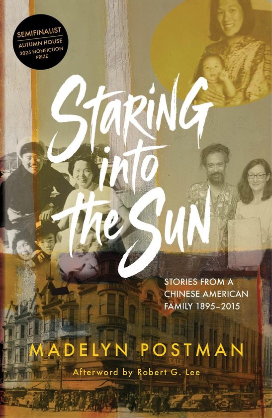 Staring into the Sun - cover