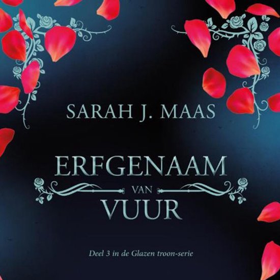 Erfgenaam van vuur - cover
