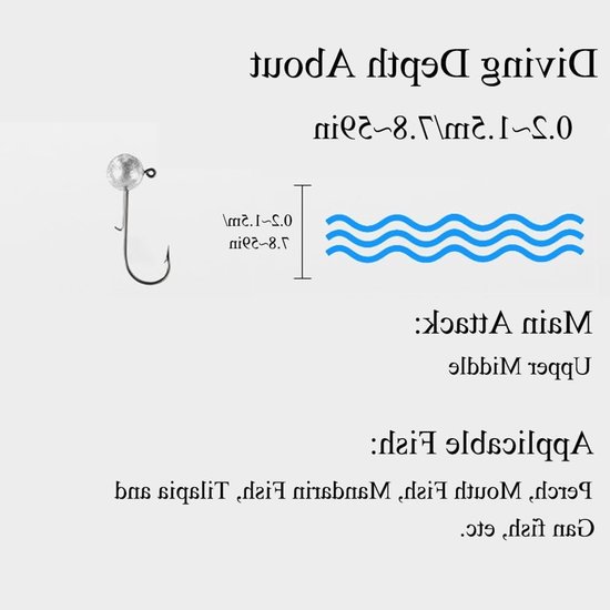 Kant-en-klare Jig Hoofd Haken, Scherpe Vissen Haken met Gewichten voor Zoet- en Zoutwater (Verpakking van 10) van Merkloos — afbeelding 4