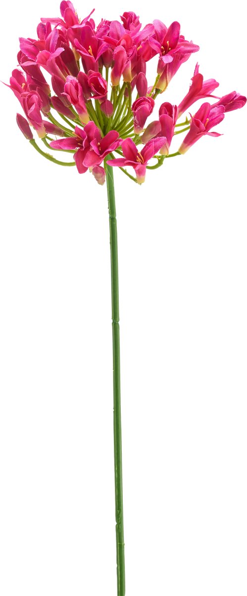 Easyplants | Kunstbloem Celematis 78 cm wit | Zijde | Nepbloemen | wit | Onderhoudsvrij | Kant-en-klaar