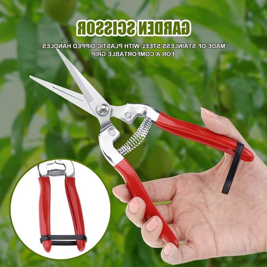 Dailygoods- Plantenschaar - Snoeischaar - Takkenschaar - Oogstschaar - Voor Tuin/Bonsai - Geschikt voor Planten/Bloemen/Rozen van Dailygoods — afbeelding 2
