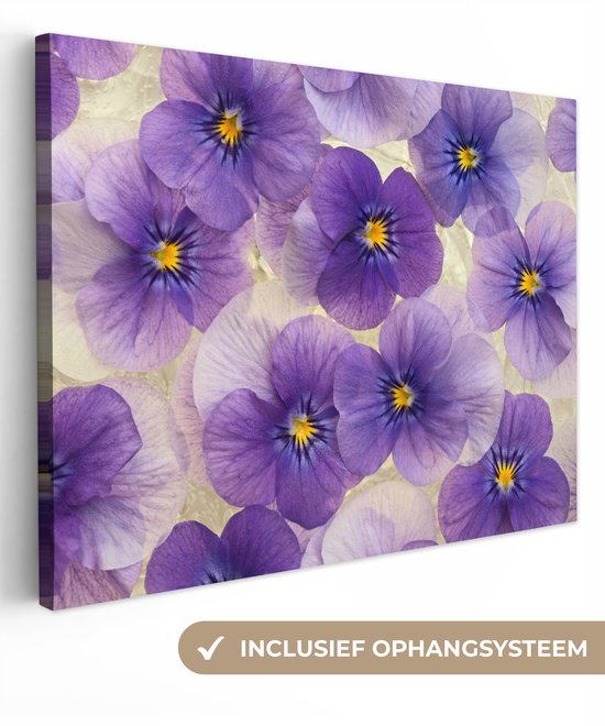 Canvas schilderij 40x30 cm - Wanddecoratie Groep paarse viooltjes - Muurdecoratie woonkamer - Slaapkamer decoratie - Kamer accessoires - Schilderijen op canvas