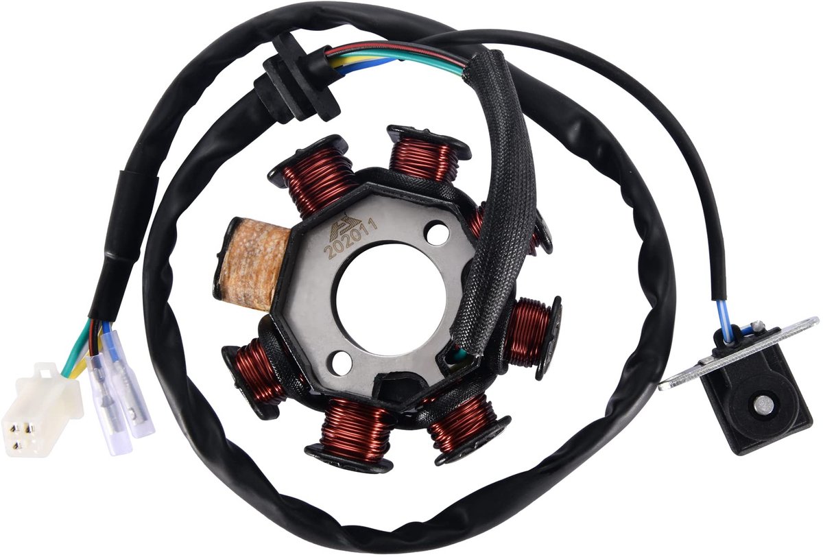 Dailygoods - Dailygoody - 8 Spoel Stator Magneto - Vervangingsonderdeel - Duurzaam en krachtig - Compact formaat - Geschikt voor scooters - Voor 125cc en 150...