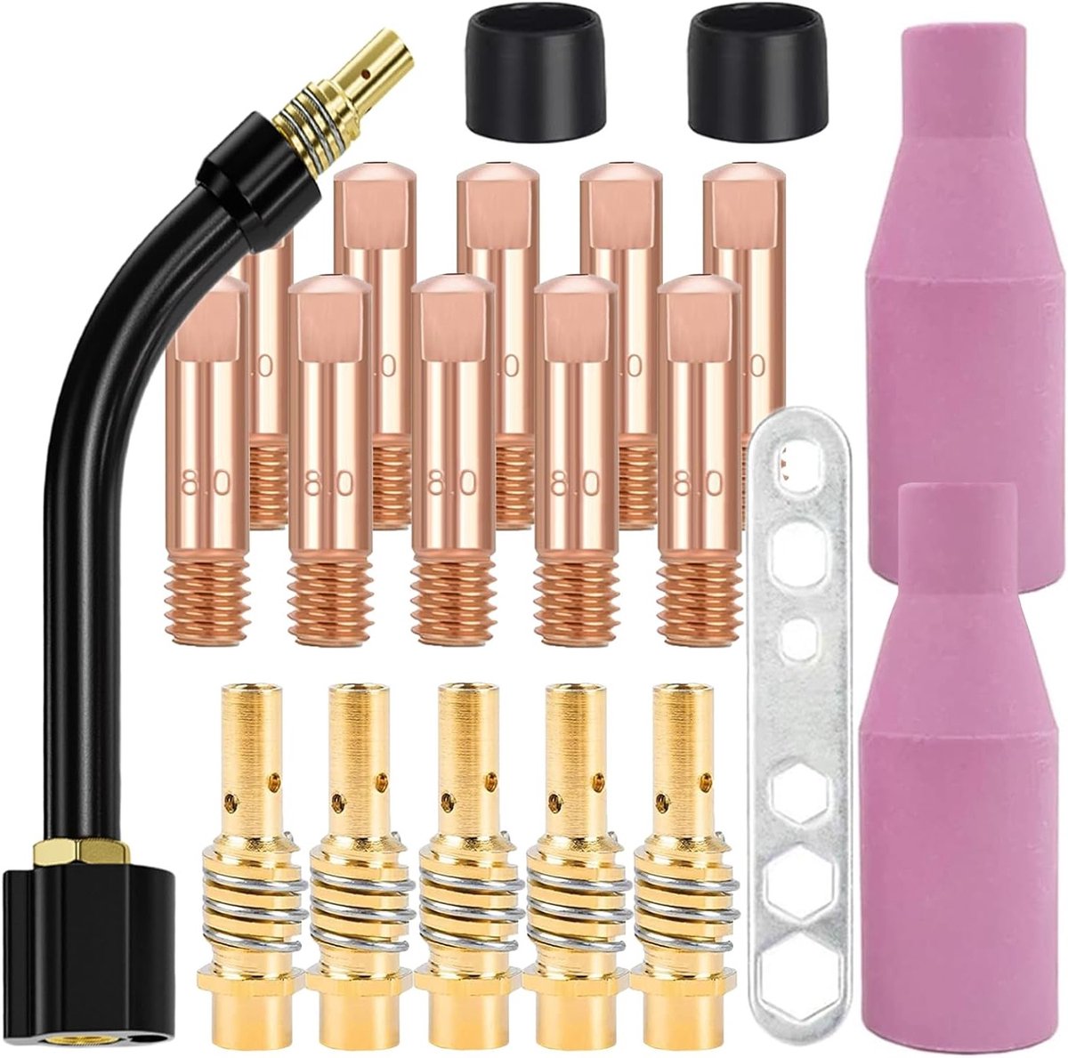 SnelShoppen - 21-delige MIG/MAG lasmachine accessoires set, 10 mondstukken, 5 contactpunten 1 mm M6, 2 isolatoren, 2 diffusers, 1 lasgereedschap AK-15