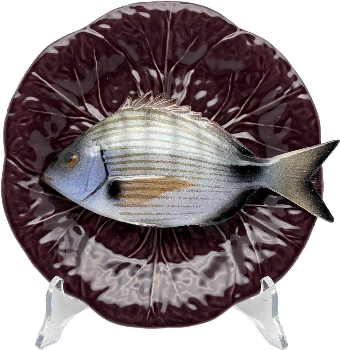 Sarago medio op een aubergine bladvormig bordje, 20cm