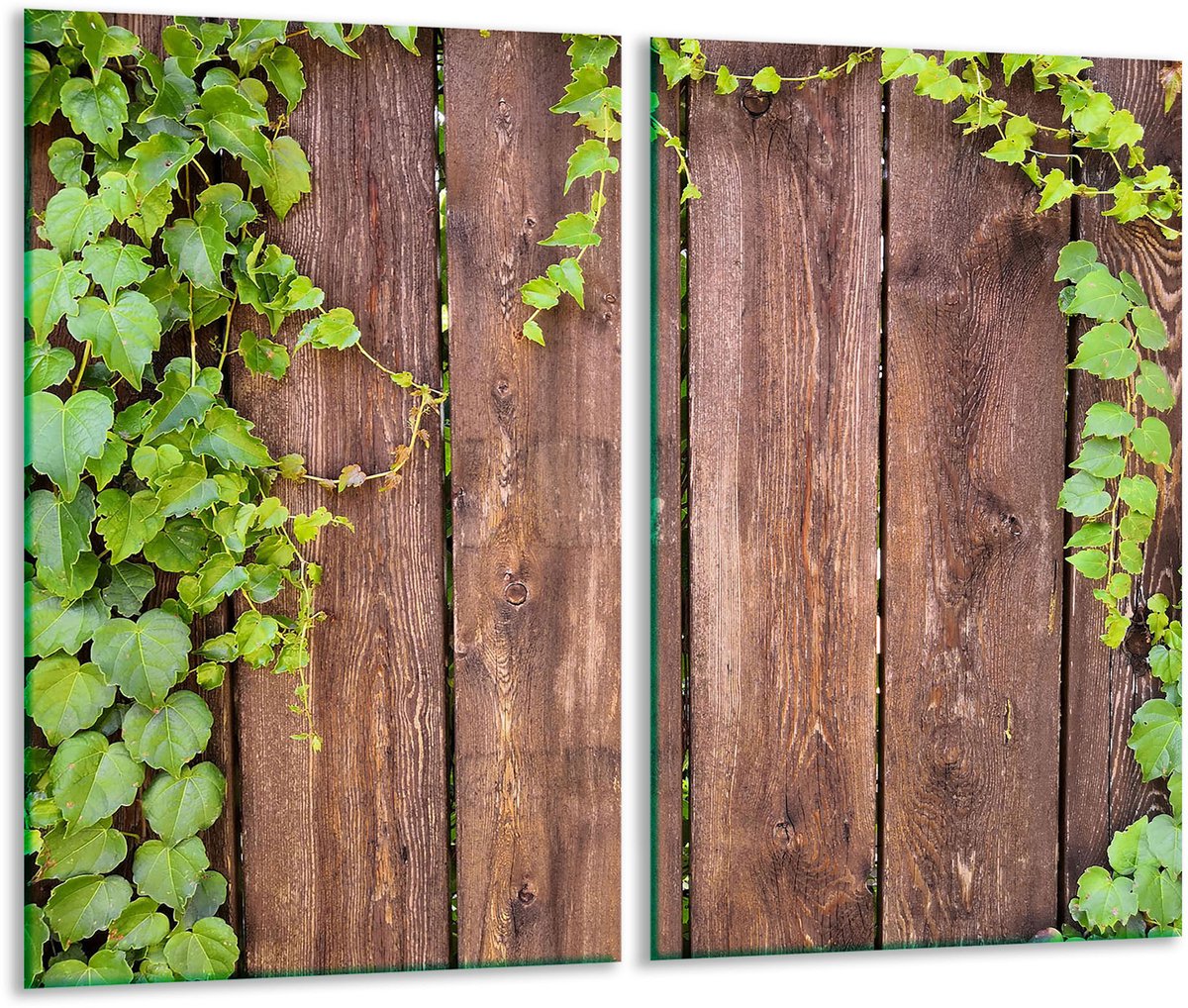 TMK ArtDeko - Snijplank - Glas - 30x52 cm - Inductie Kookplaat Bescherming