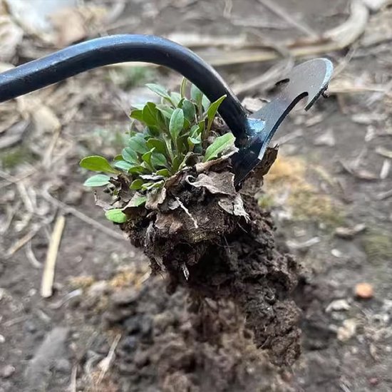 Onkruidwieder Set - Wiedegereedschap Tuin - Onkruid Verwijderen - 4 Scherpe Tanden - 35 cm - Zilver van Onkruidwieder — afbeelding 4