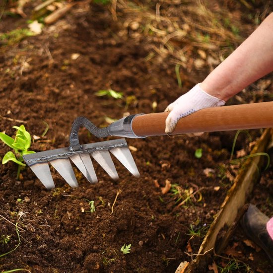 Tuinhark - Onkruidsteker Klauwhark - Tuinonderhoud - Koolstofstaal - 30 mm - Zilver — afbeelding 2
