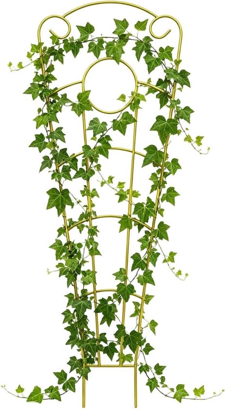 Plantenrooster Binnen - Klimplantsteun Metaal - Planten Steunen - Roestvrij Metaal - 73 cm Hoog - Zwart