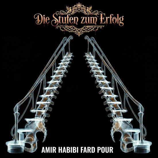 Die Stufen zum Erfolg - cover