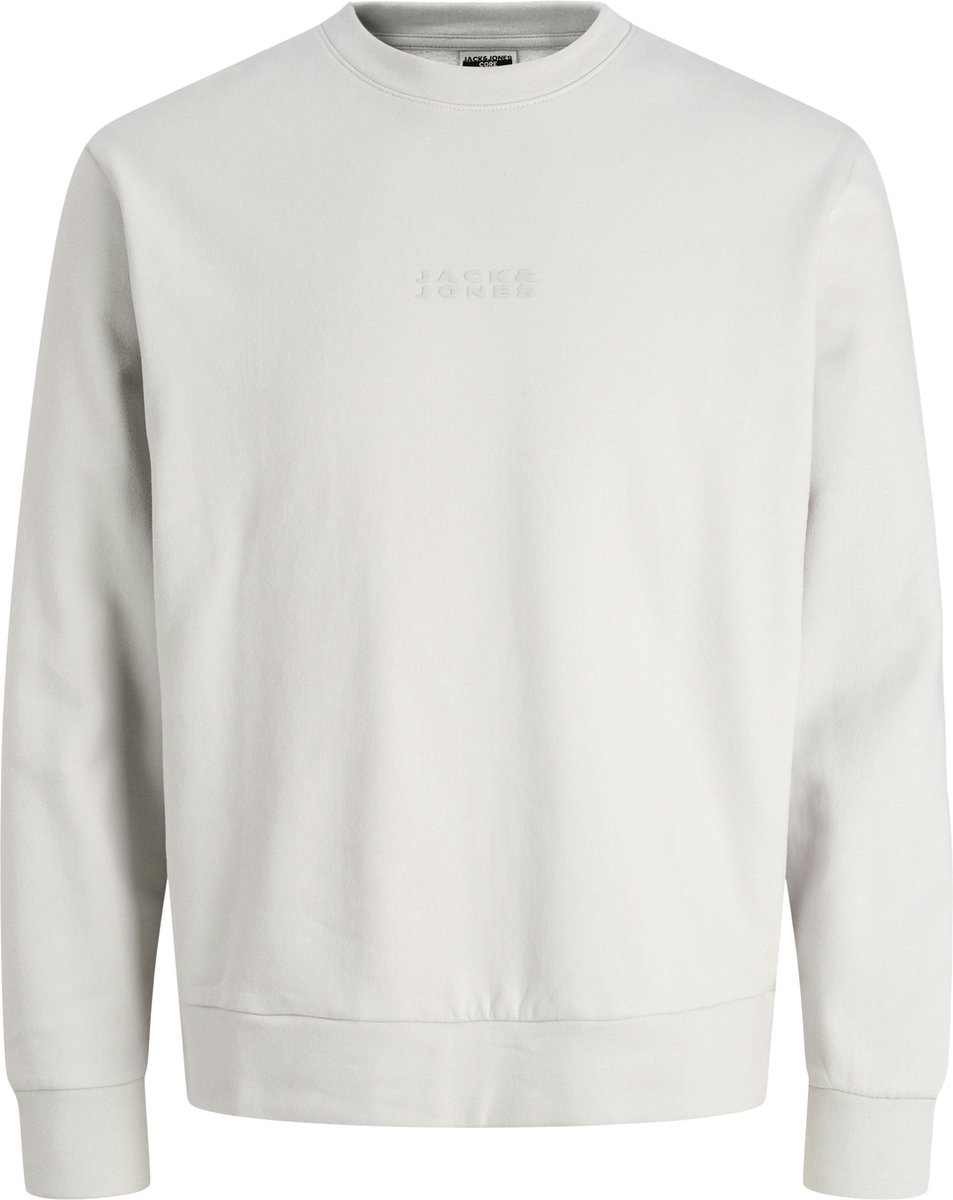 JACK&JONES - JCOSTANCE SWEAT CREW NECK - Jongens - Sweaters