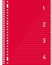 Kangaro schrijfblok - 4-in-1-blok - A4 - gelinieerd - 200 pagina's - 80 grams - rood