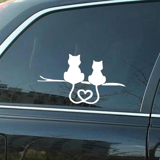 Breng jouw liefde voor katten tot leven met onze katten- en poezenstickers - Bestel nu
