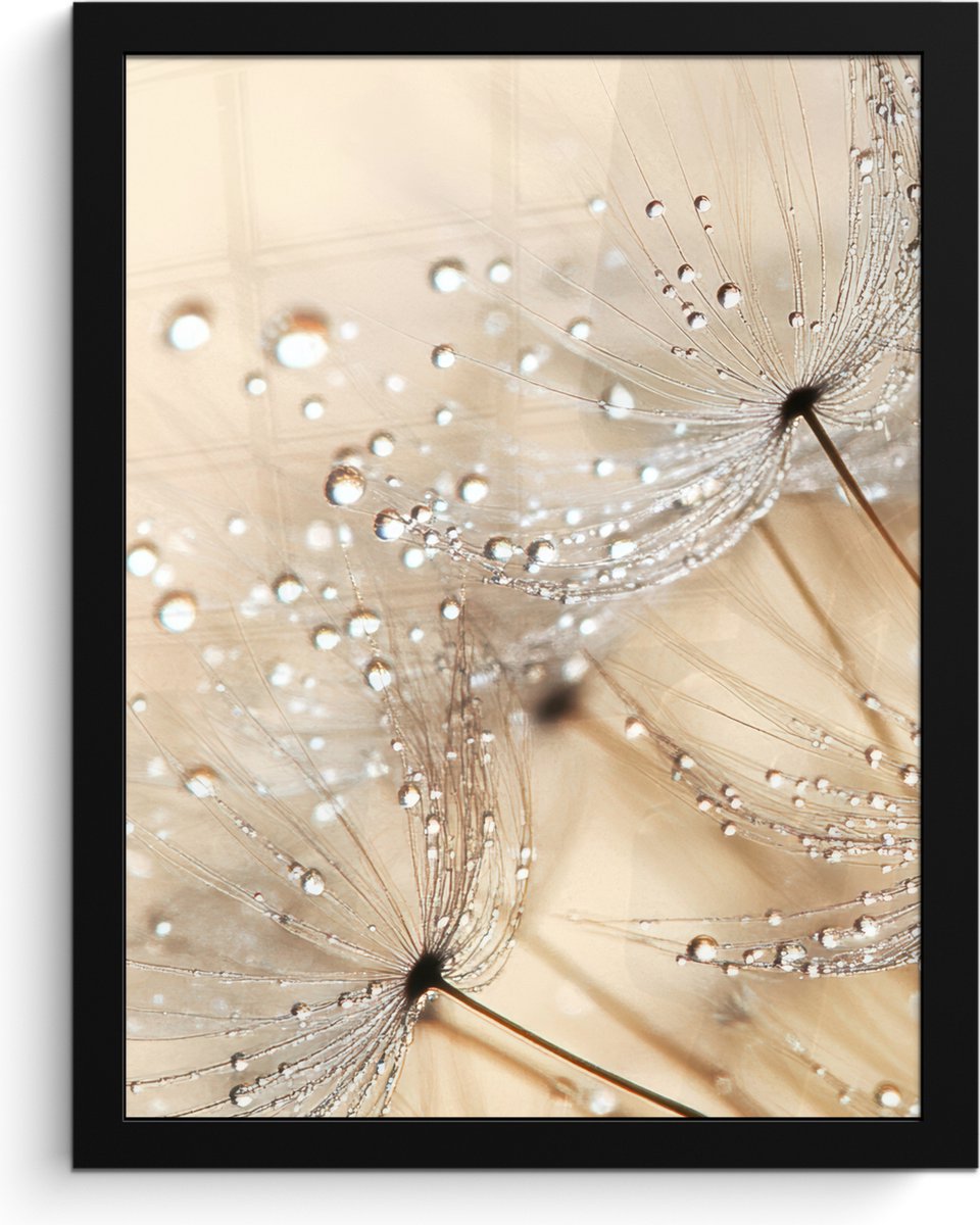 FrameYourWall Poster in lijst - Fotolijst 30x40 cm - Posters - Paardenbloem - Abstract - Natuur - Beige - Posterlijst zwart - Decoratie - Wanddecoratie woonkamer - Muurdecoratie slaapkamer