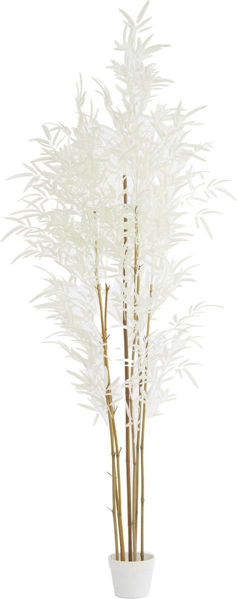 Pot BAMBOO - 70x60x180cm - Bruin