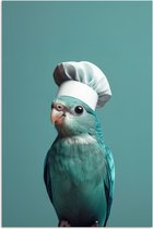 Affiche 20x30 cm - Perruche - Vogel - Toque de chef - Mignon - Posters - Décoration murale cuisine - Décoration murale salon - Accessoires décoratifs - Décoration murale chambre
