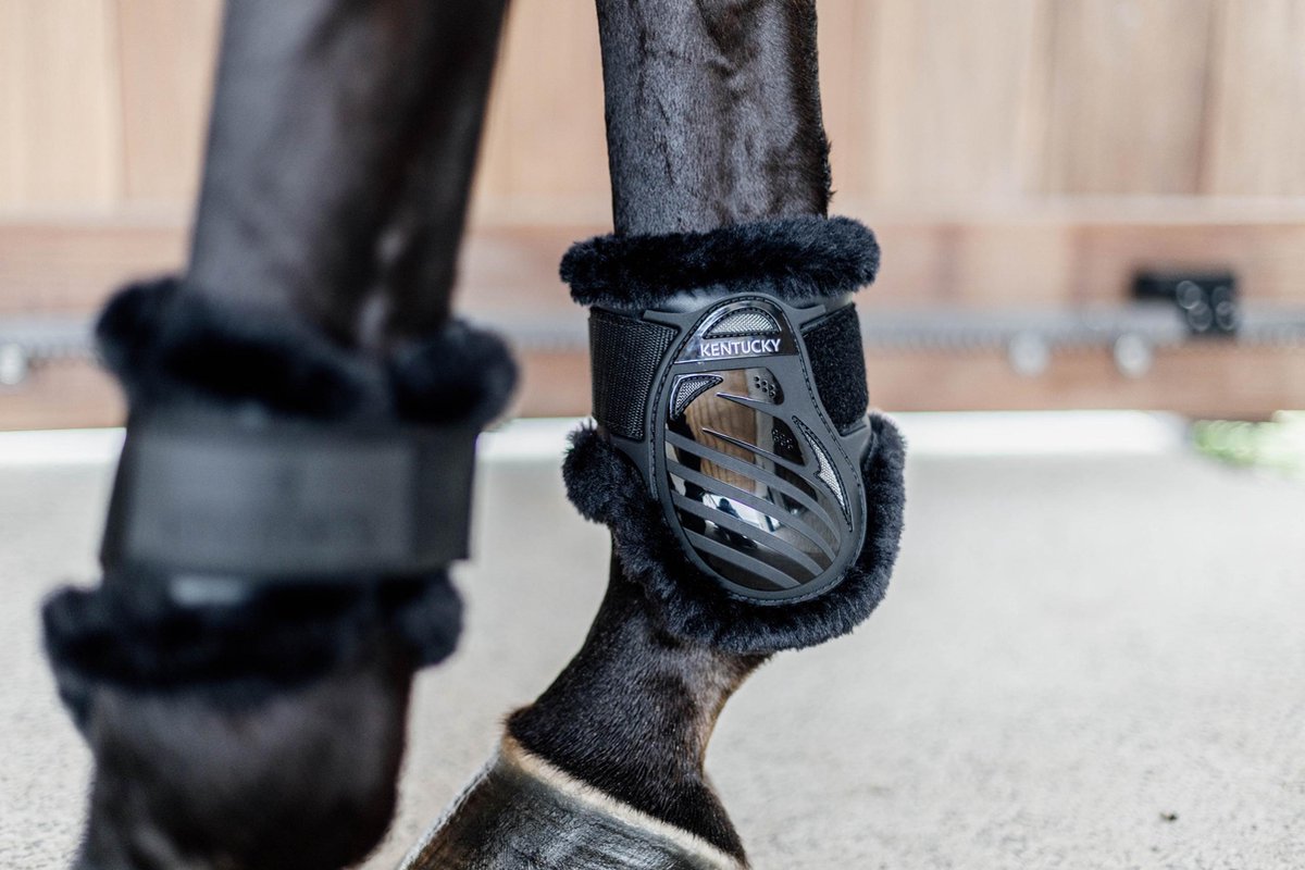 Kentucky Horsewear - Vegan Sheepskin young horse fetlock boots zwart/wol zwart L