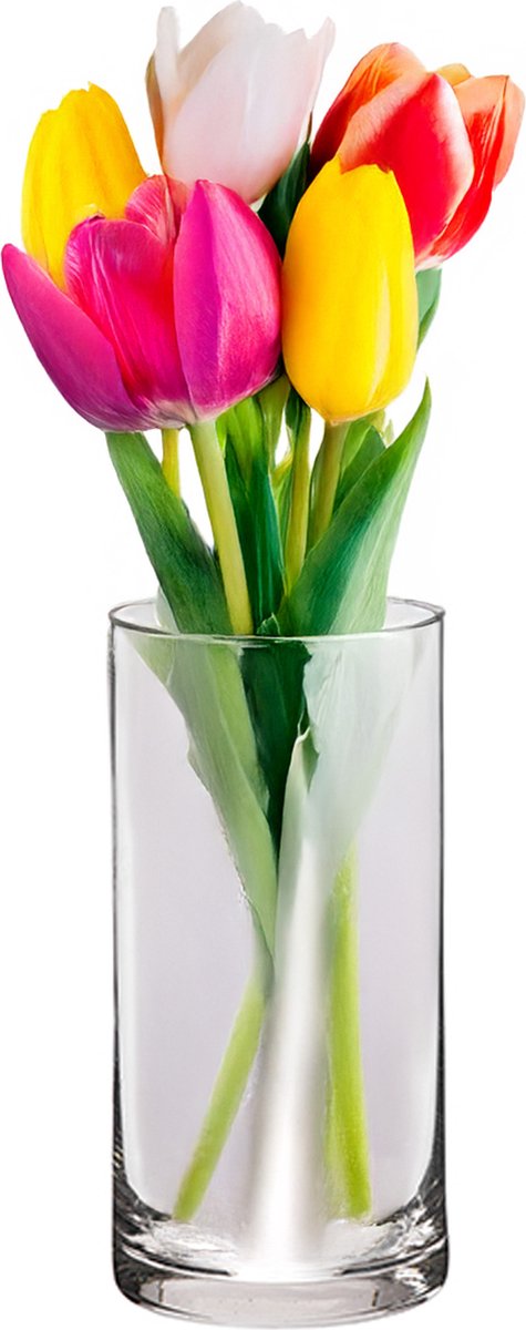 Alessandro Bloemenvaas klassiek - transparant glas - 10 x 20 cm - recht model - boeketvaas