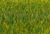 Faller - PREMIUM strooimateriaal, Gras, donkergroen, 6 mm, 30 g