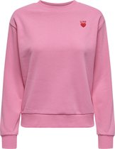 JDY - JDYPARIS L/S EMB SWEAT JRS Dames Trui