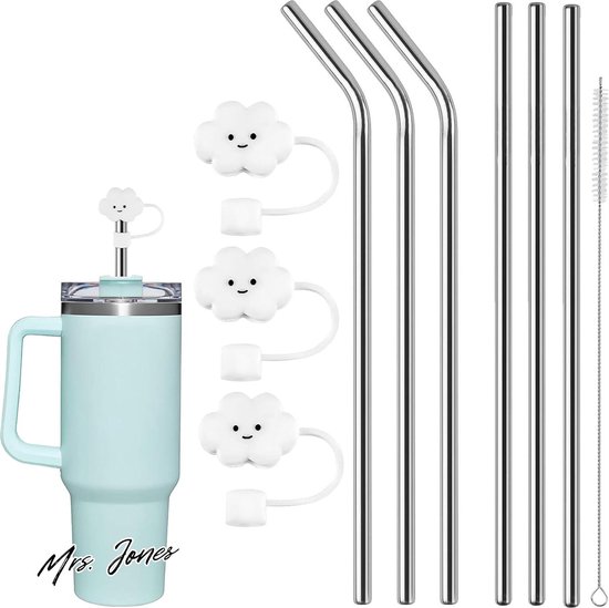 HALM Stanley Quencher Pailles En Verre Réutilisables Avec Poignée