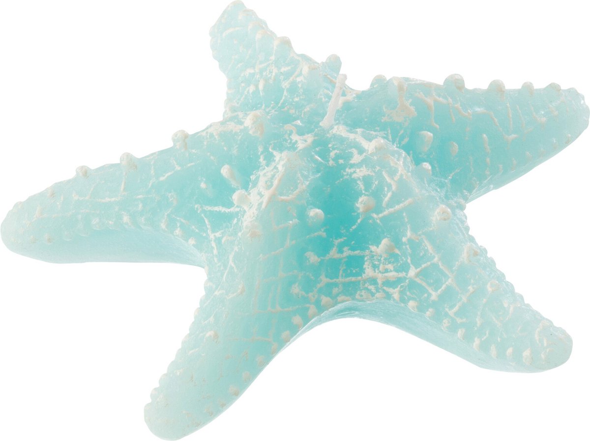 J-Line kaars Zeester - azuur - small - 2U