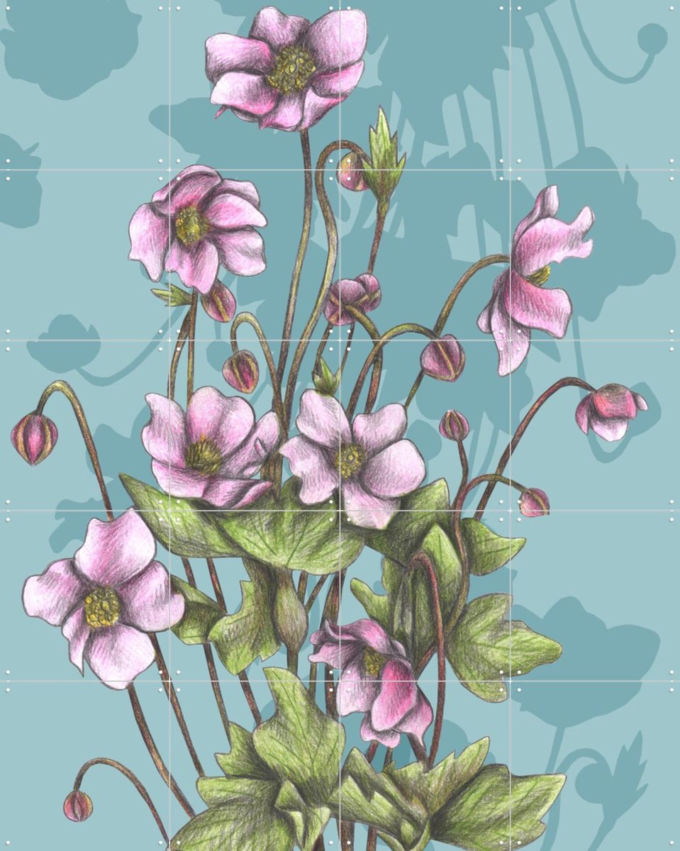 IXXI Winter Anemones, Cecilia Battaini - 80 x 100 cm - Gratis ophangtool - Grote wanddecoratie en posters - Aquarel, Naturalisme, Illustraties