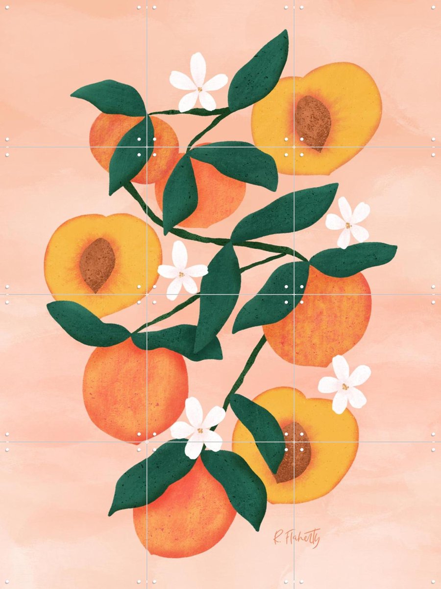 IXXI Summer Peaches Pink, Rebecca Flaherty - 60 x 80 cm - Gratis ophangtool - Grote wanddecoratie en posters - Illustraties, Kleurrijk, Speels