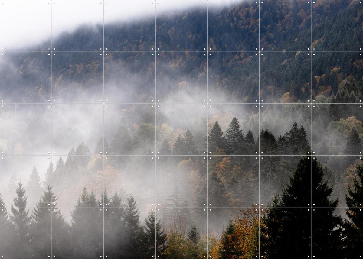 IXXI Foggy Woods 9, Mareike Böhmer - 140 x 100 cm - Gratis ophangtool - Grote wanddecoratie en posters - Naturalisme, Fotografie, Realisme, Woonkamer