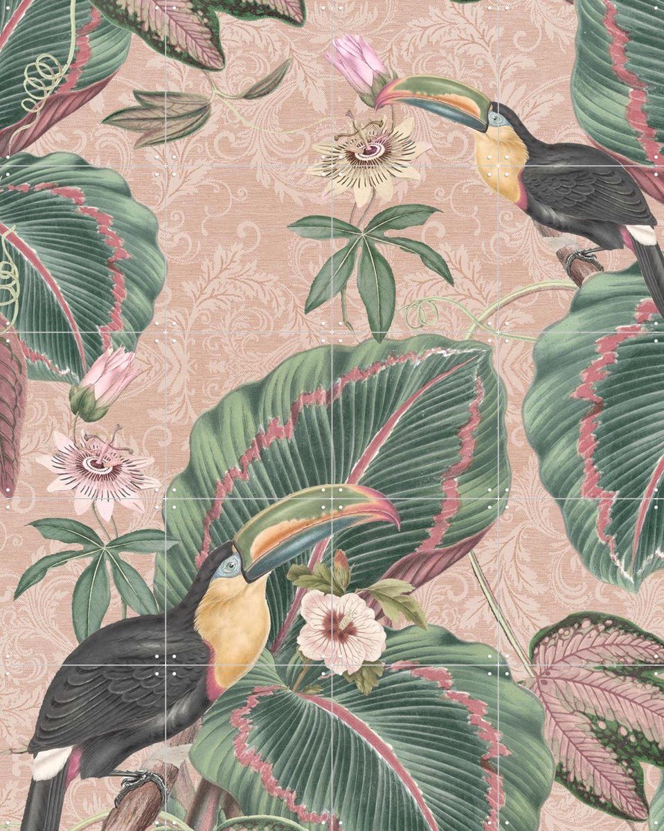 IXXI Tropical Jungle Toucans, Bloomery Decor - 80 x 100 cm - Gratis ophangtool - Grote wanddecoratie en posters - Kleurrijk, Naturalisme, Vintage