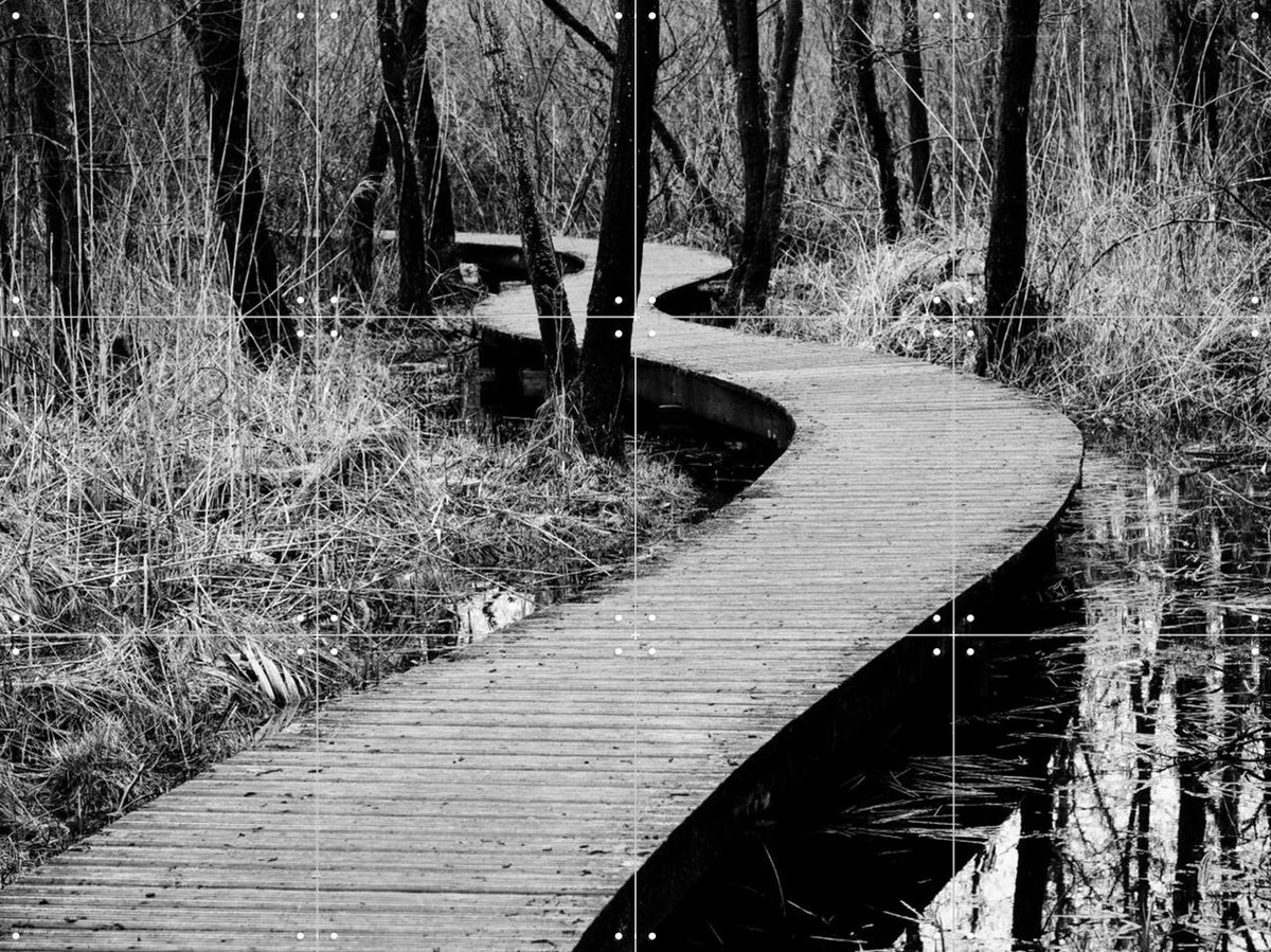 IXXI Moerputten in Den Bosch, Photolovers - 80 x 60 cm - Gratis ophangtool - Grote wanddecoratie en posters - Fotografie, Gang, Woonkamer