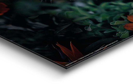 Tableau Léopard de la jungle