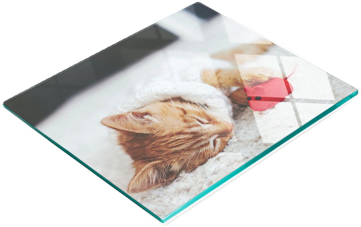 Keukenplank van gehard glas met decoratieve afbeelding van een schattig katje, 60x52 cm