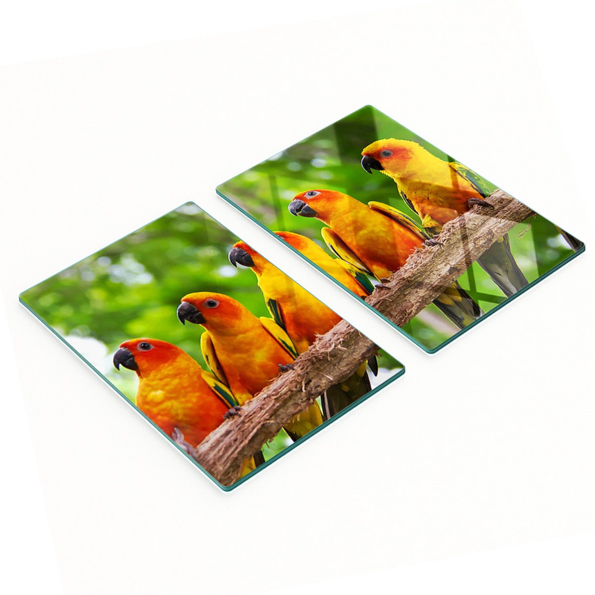 Set van twee decoratieve glazen snijplanken in de vorm van een papegaaitak, 2x40x52 cm