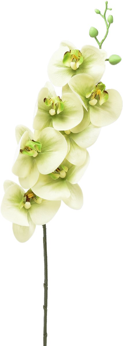 Orchidee Kunst Geelgroene Phalaenopsis L83cm