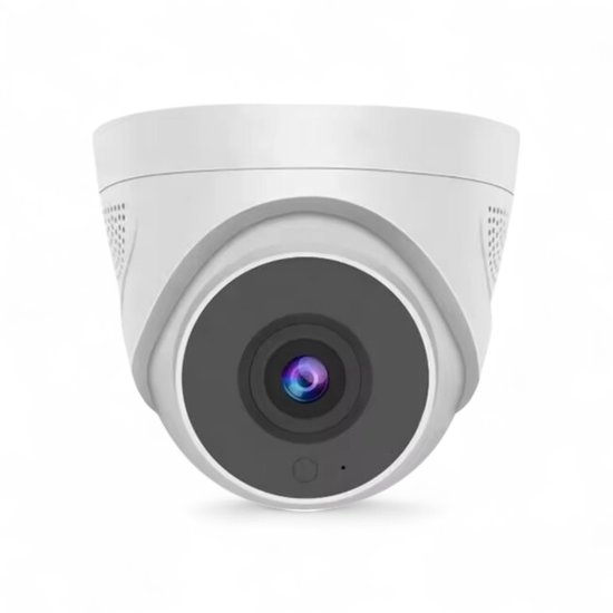 WiFi Dome Camera 4MP met Nachtzicht en Bewegingsherkenning - WiFi - €69,95