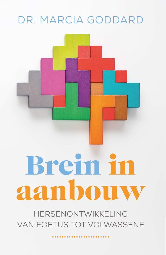 Brein in aanbouw - cover