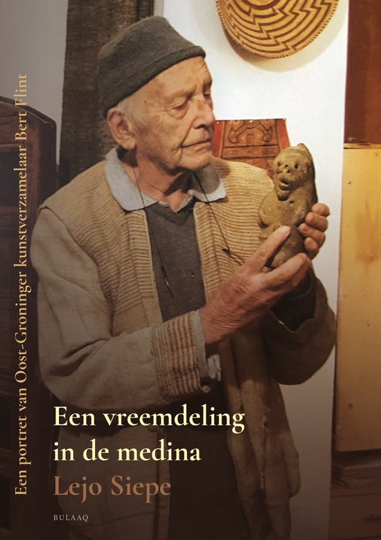 Een vreemdeling in de medina - cover
