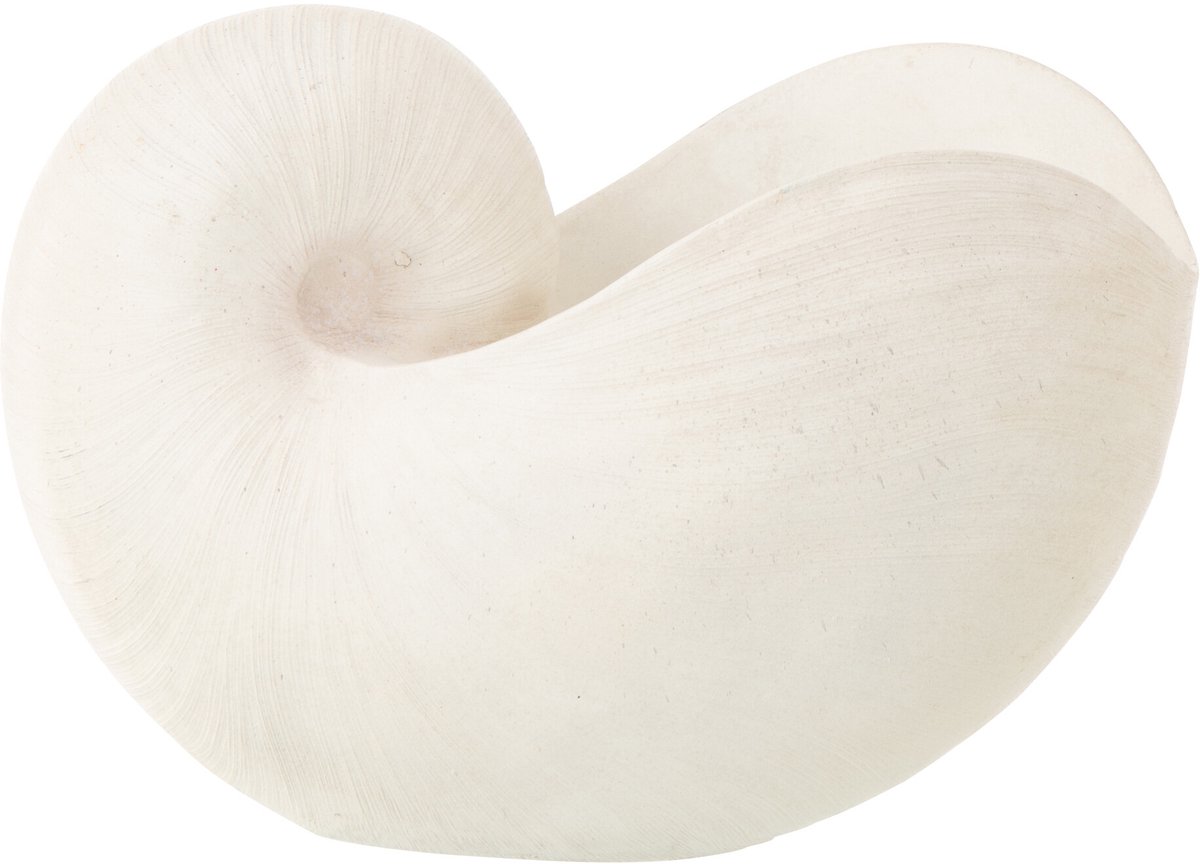 J-Line decoratie Schelp - polyresin - wit