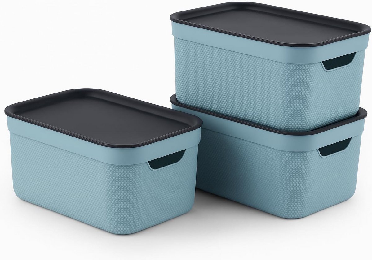 Opbergbak Met Deksel - Opbergdoos - Opbergbox - boxen