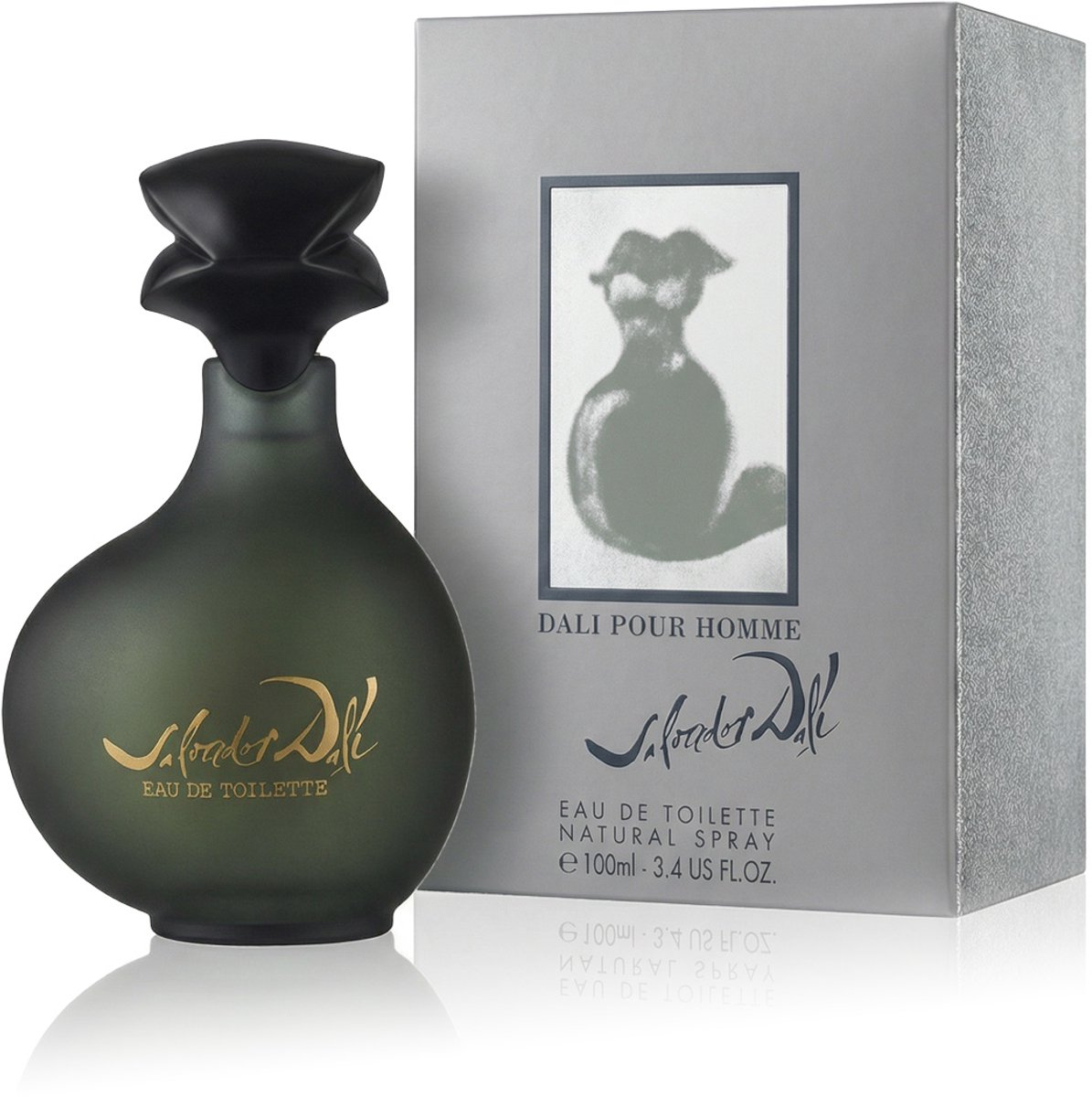 Salvador Dali Pour Homme - Eau de toilette spray - 100 ml