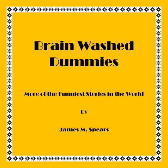 Brainwashed Dummies - cover