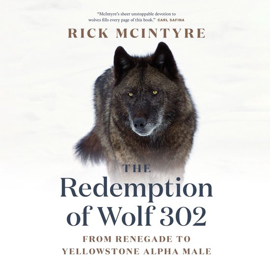 The Redemption of Wolf 302 - cover
