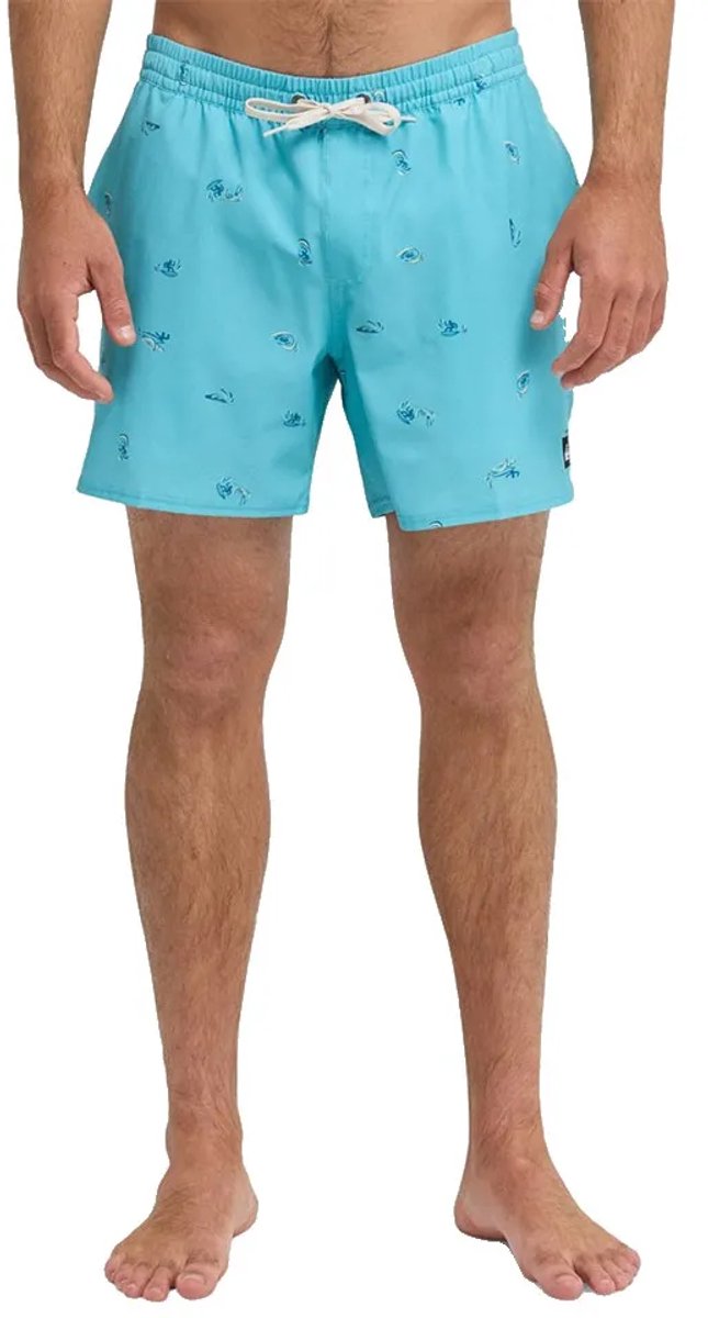 Quiksilver Stretch Printed Volley 16´´ Zwembroek XL Man Aqua Spaced Out