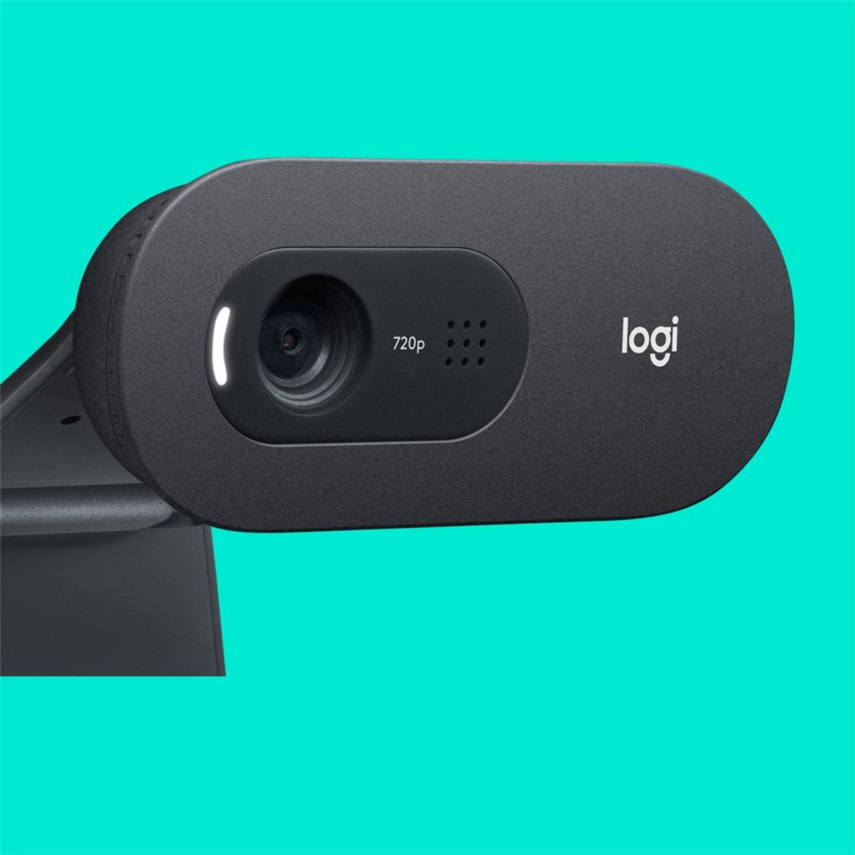 Logitech C505 HD Webcam: 720p, ruisonderdrukking, 2m kabel thumbnail 2