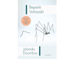 Beperkt volmaakt