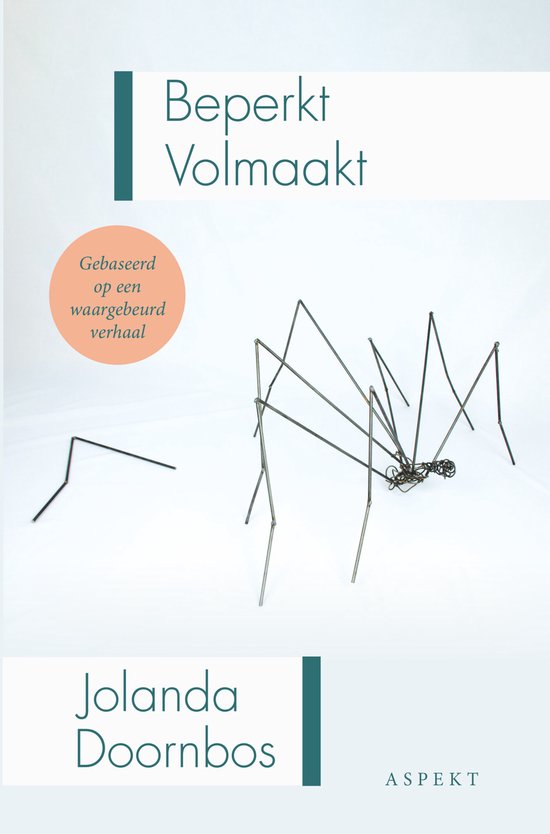 Beperkt volmaakt - cover