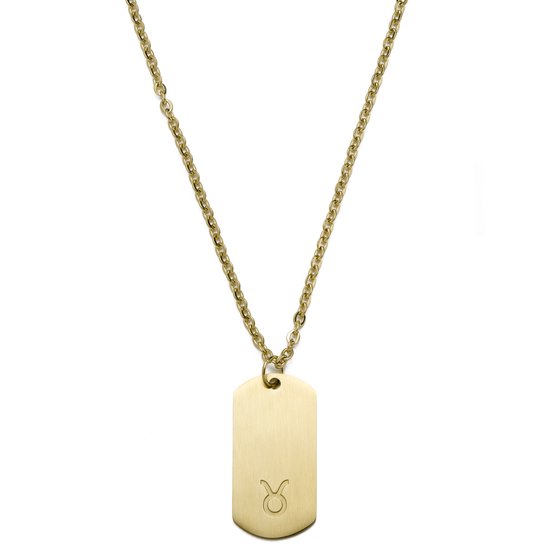 Goudkleurige stalen ketting met een rechthoekig, mat hangertje met het symbool van het sterrenbeeld Stier.