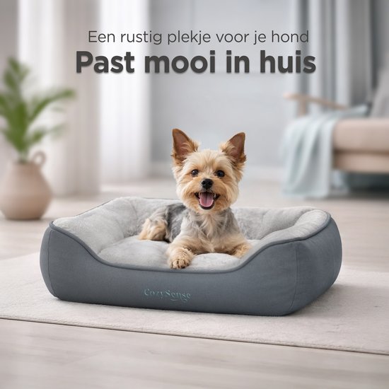 Yorkshire terriër op een grijs hondenkussen in een woonkamer.
