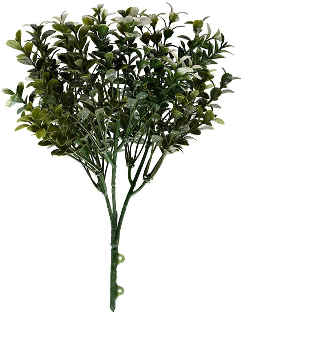 Buitengewoon Boet Buxus engels 32 cm kunsttak Buitengewoon de Boet groen